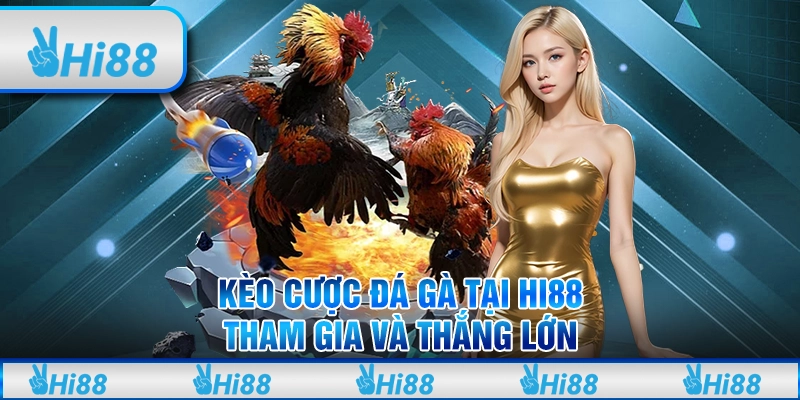 Kèo Cược Đá Gà Tại Hi88: Tham Gia Và Thắng Lớn Tại Nhà Cái