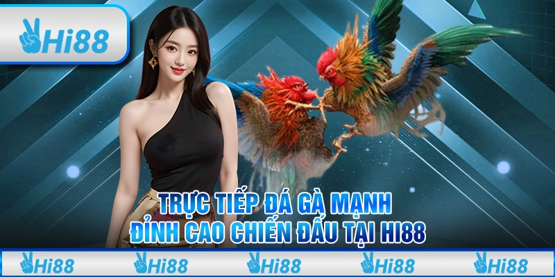 Trực Tiếp Đá Gà Mạnh – Đỉnh Cao Chiến Đấu tại Hi88