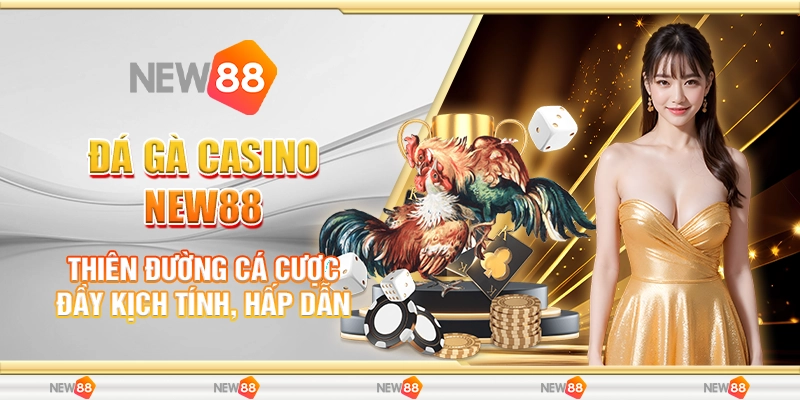 đá gà casino