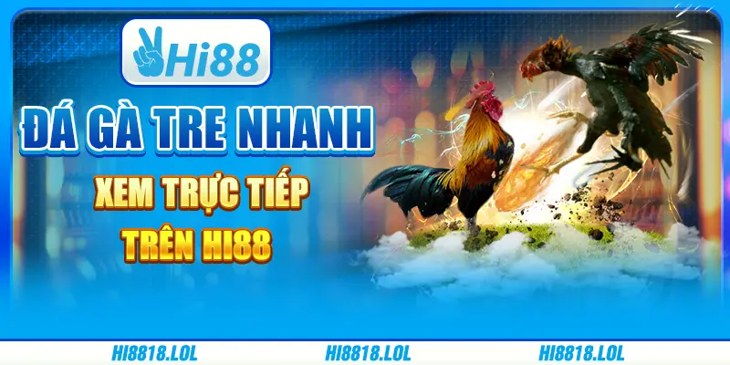Đá Gà Tre Nhanh - Xem Trực Tiếp Trên Nền Tảng Hi88
