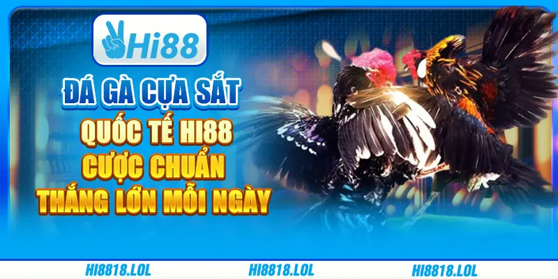 Đá Gà Cựa Sắt Quốc Tế Hi88 – Cược Chuẩn, Thắng Lớn Mỗi Ngày