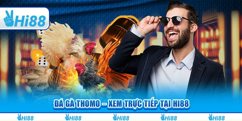Đá Gà Thomo – Xem Trực Tiếp, Cá Cược Và Thắng Lớn Tại Hi88