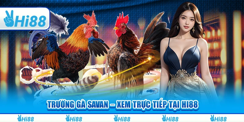 Trường Gà Savan – Xem Trực Tiếp Và Tham Gia Cá Cược Tại Hi88
