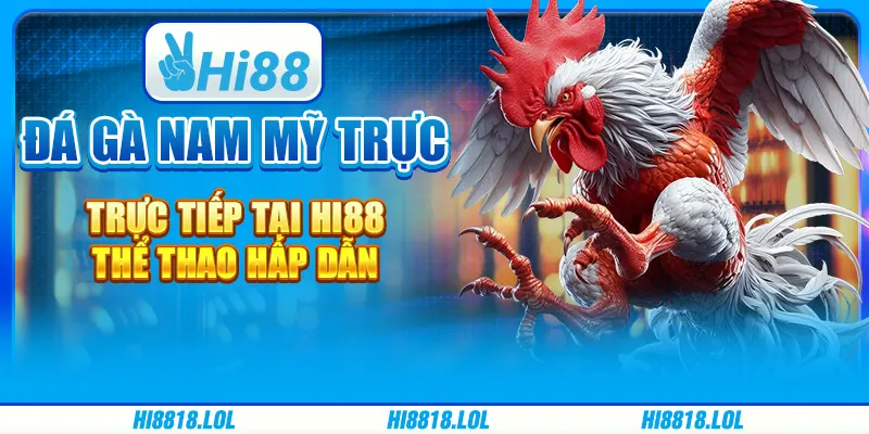 Đá Gà Nam Mỹ Trực Tiếp Tại Hi88 – Thể Thao Hấp Dẫn