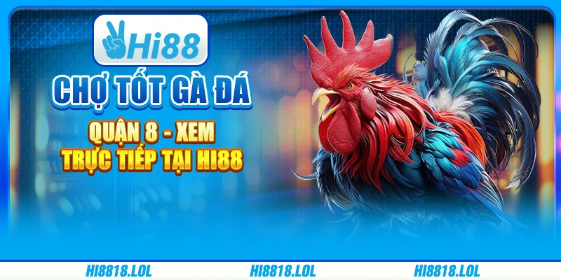 Chợ Tốt Gà Đá Quận 8 - Xem Trực Tiếp Tại Trang Chủ Hi88