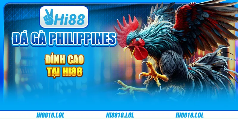 Đá Gà Philippines Đỉnh Cao Tại Nhà Cái Trực Tuyến Hi88