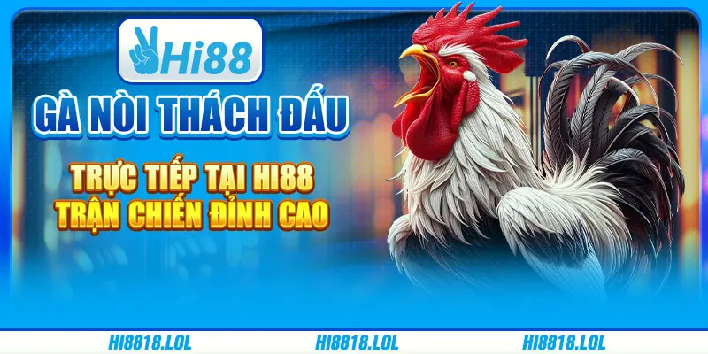 Gà Nòi Thách Đấu Trực Tiếp Tại Hi88 – Trận Chiến Đỉnh Cao