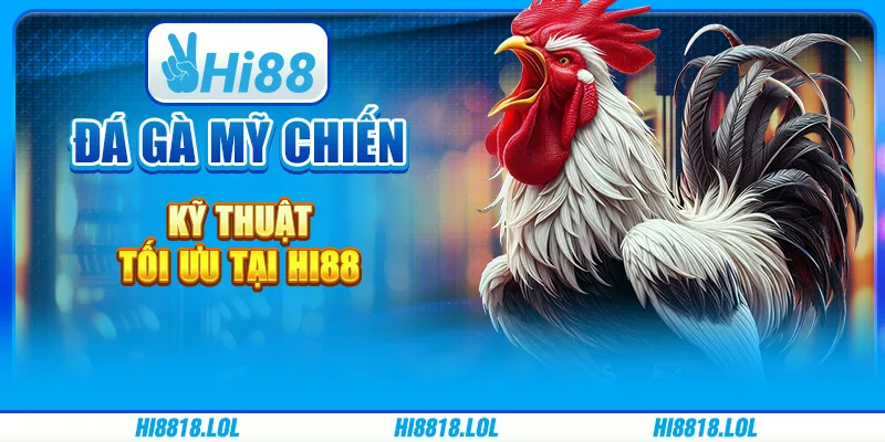 Đá Gà Mỹ Chiến Kỹ Thuật Tối Ưu Tại Nhà Cái Trực Tuyến Hi88
