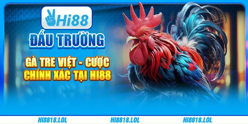 Đấu Trường Gà Tre Việt - Cược Chính Xác Tại Nhà Cái Hi88