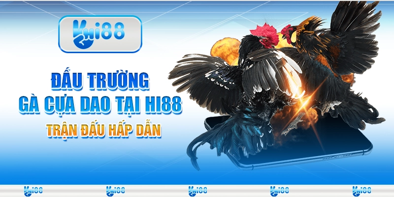 Đấu Trường Gà Cựa Dao Tại Nhà Cácu Hi88 – Trận Đấu Hấp Dẫn